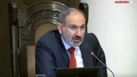 ՏԵՍԱՆՅՈՒԹ.  Հերիք է, այդ մարդիկ պետք է թողնեն գնան ու զբաղվեն ուրիշ գործով. Փաշինյան