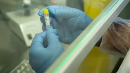 Հայաստանում կորոնավիրուսով վարակվելու նոր դեպք չկա. ԱՆ