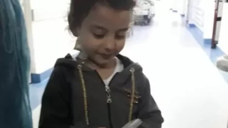 Անգելինայի վիրահատության համար անհրաժեշտ 100 հազար դոլարի 70 տոկոսը հավաքվել է. նախարար