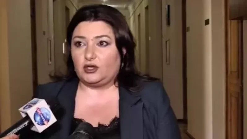 Ավելի շատ հեղափոխության քարոզարշավ է ընթանում. Իվետա Տոնոյան