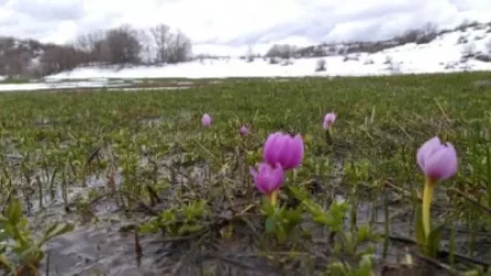 Առաջիկա օրերի եղանակը Հայաստանում