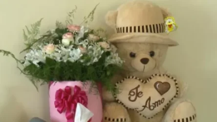 Գյումրեցի 13-ամյա աղջնակի սենյակը կահավորվել է ծաղիկներով ու փափուկ խաղալիքներով. Դերձյան