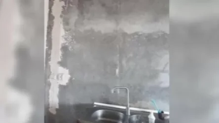 Հանրային սննդի օբյեկտը չուներ միջատների ու կրծողների մուտքը տարածք կանխող միջոցներ