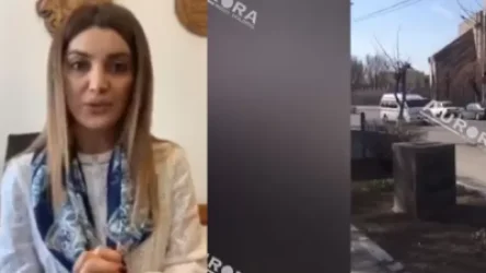 ՏԵՍԱՆՅՈՒԹ․ Դիանա Գրիգորյանը՝ Էջմիածին ժամանած մեծ թվով շտապօգնության մեքենաների մասին