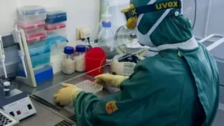 Ավստրալիայում ստեղծել են դեղամիջոց, որը ճնշում է կորոնավիրուսը 48 ժամվա ընթացքում