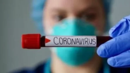 Արցախում կորոնավիրուսի դեպք չի գրանցվել. 13 քաղաքացիներ թեստ են հանձնել, բոլորը բացասական է