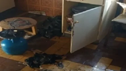 Գազի բալոնի պայթյուն Կապան քաղաքում. վնասվել է բնաարանը, տուժածներ չկան