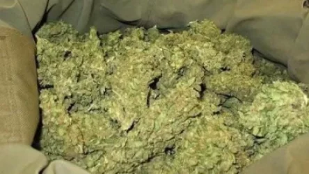 ՏԵՍԱՆՅՈՒԹ. Շենգավիթի ոստիկանները 1 կիլոգրամ 800 գրամից ավելի քաշով մարիխուանա են հայտնաբերել