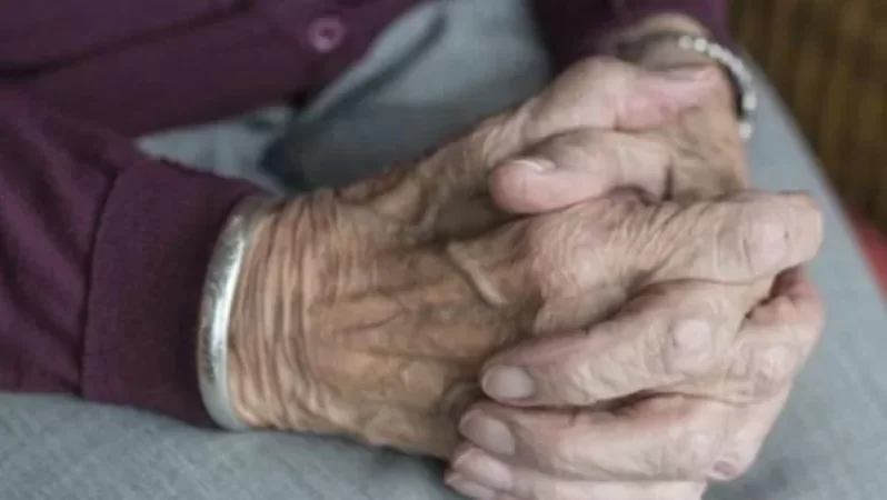 Սննդի մեկ ամսվա անհրաժեշտ պաշար կհատկացվի 4041 միայնակ տարեցի