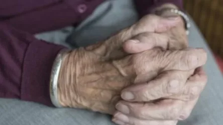 Սննդի մեկ ամսվա անհրաժեշտ պաշար կհատկացվի 4041 միայնակ տարեցի