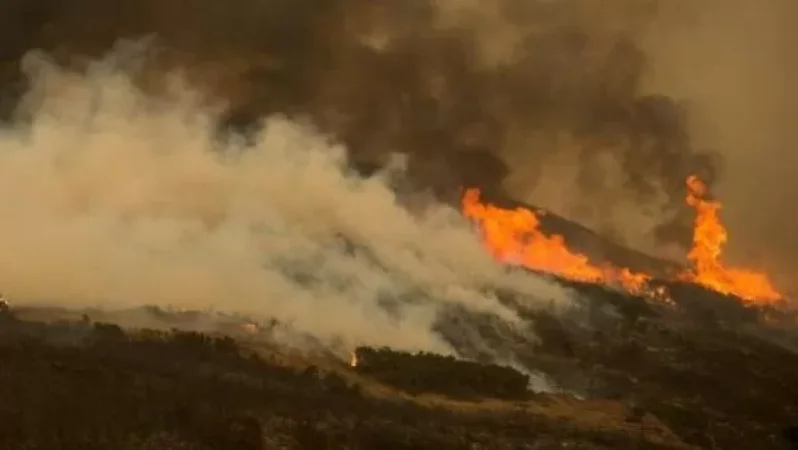 Մոտ 2000 քմ տարածքում հրդեհ էր բռնկվել.  ԱԻՆ