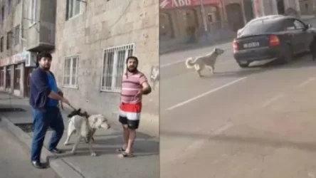 Շանը մեքենայից կապած ու քարշ տված քաղաքացին ոստիկանությունում է. Ջանոյան