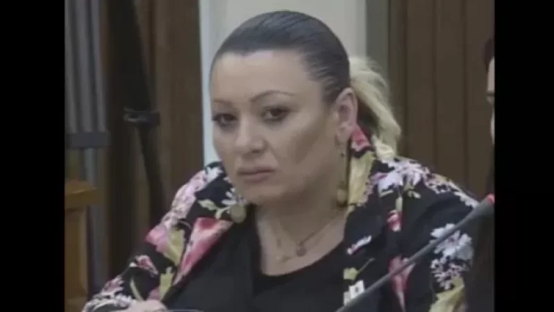 Ոստիկանը պիտի չդիպչի անձնագրին. առաջարկ՝ ավագանու անդամից