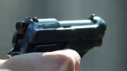 Բացահայտվել է Եկմալյան փողոցում տեղի ունեցած սպանության դեպքը