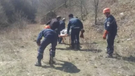 Գորիսի «Շինգինի ձոր» կոչվող տարածքից փրկարարները դի են իջեցրել սարից