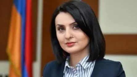 Ո՞ր ընտանիքները սոցիալական աջակցություն կստանան պետության կողմից. Զարուհի Բոթոյան