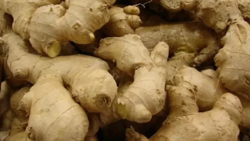 ՏՄՊՊՀ-ն՝ կոճապղպեղի թանկացումների մասին ահազանգերին