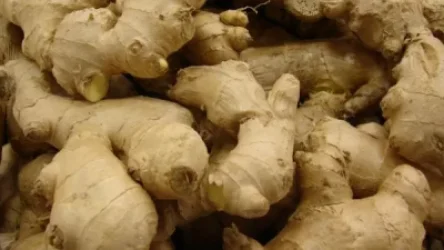 ՏՄՊՊՀ-ն՝ կոճապղպեղի թանկացումների մասին ահազանգերին