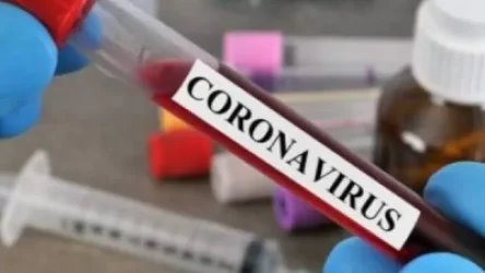 Ունենք 92 նոր վարակակիր, 2 առողջացած՝ կրկնակի բացասական թեստով. Ալինա Նիկողոսյան