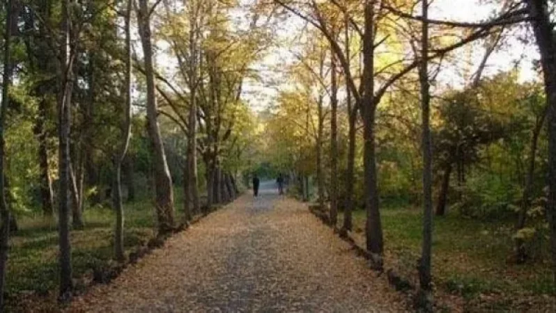 11 մլն դրամի չափով խախտումներ Խախտումներ Բուսաբանական այգու հողատարածքների վարձակալության գործընթացներում