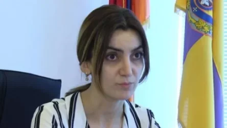 Պարենի տոպրակներ բաժանելու գործընթացը չի կարող հավերժ տևել և եթե դուք շարժվեք «շնից մազ պոկելու» սկզբունքով․ Գասպարյան