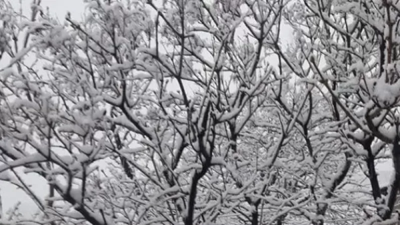 Այս եղանակն էլ այստեղ է մտել արտակարգ դրության մեջ. Սուրենյանը լուսանկարներ է հրապարակել