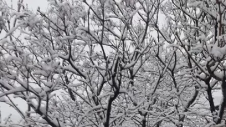 Այս եղանակն էլ այստեղ է մտել արտակարգ դրության մեջ. Սուրենյանը լուսանկարներ է հրապարակել