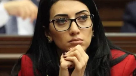 Օրենքը նախատեսում է 30-օրյա ժամկետը ևս 30-օրով երկարաձգելու հնարավորություն