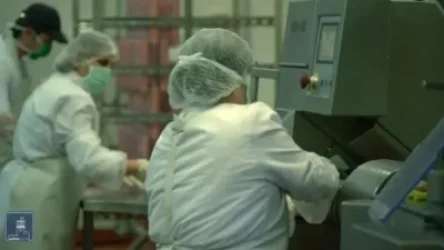 Ինչպես են կազմակերպում իրենց աշխատանքը մսամթերքի արտադրամասի աշխատակիցները