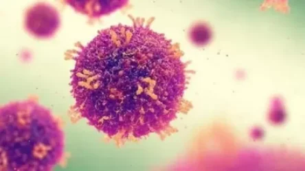 Կորոնավիրուսը մարդու կողմից չի ստեղծվել․ ԱՀԿ