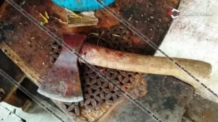 «Տղամարդու դին հարևանի տանն էր, իսկ տանտերը չկար. մանրամասներ՝ կացնով կատարված սպանությունից