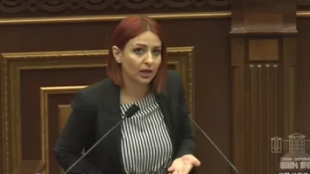 Անի Սամսոնյանը հաղորդում է ներկայացրել օգտատիրոջ կողմից Մարուքյանի նկատմամբ բռնության կոչեր հնչեցնելու համար