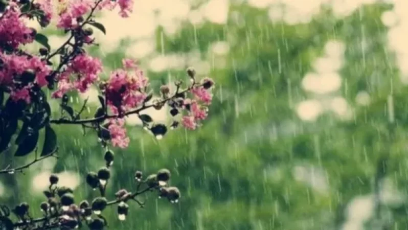 Առաջիկա օրերի եղանակը ՀՀ տարածքում