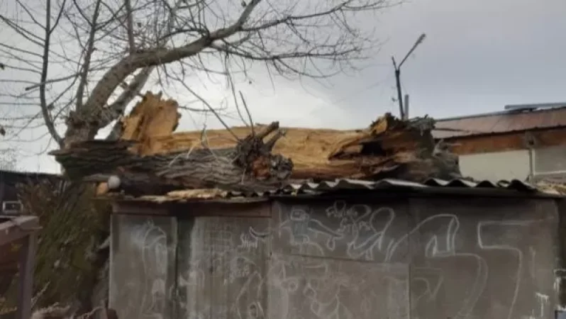 Երևանում ծառը կոտրվել և ընկել է` վնասելով տան տանիքը, գերեզմանատան պարիսպը