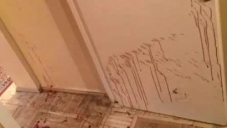 ՏԵՍԱՆՅՈՒԹ. Մանրամասներ երեխաների աջակցության կենտրոնում տեղի ունեցած դանակահարության դեպքից