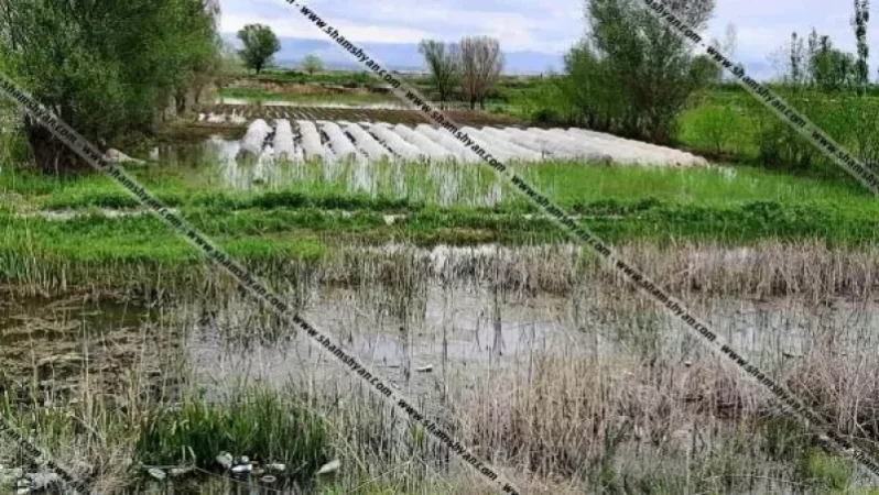 Emergencies in Ranchpar Village: Water Levels of the Sevjur River Rise