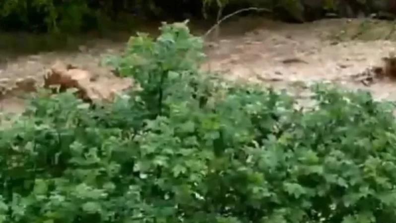 Search Operations Continue for Vehicle in Aghstev River
