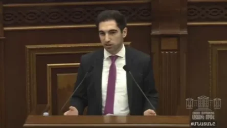 Եթե մարդ գտնի կտոր, դրանից դիմակ կարի, դա համարվելո՞ւ է դիմակ. հարց՝ փոխնախարարին