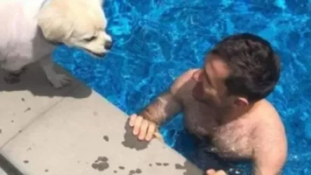 Վերադարձել եմ աշխատանքի ու կյանք. Լևոն Արոնյան