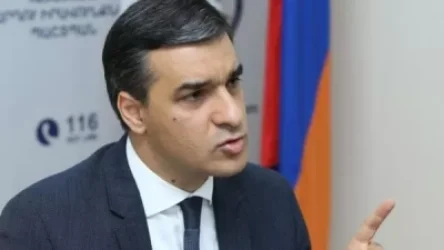 Դատապարտելի է առավել եւս նորածին երեխային ուղղված ատելությունը. Թաթոյանը՝ Տաթեւիկ Ռեւազյանի մասին