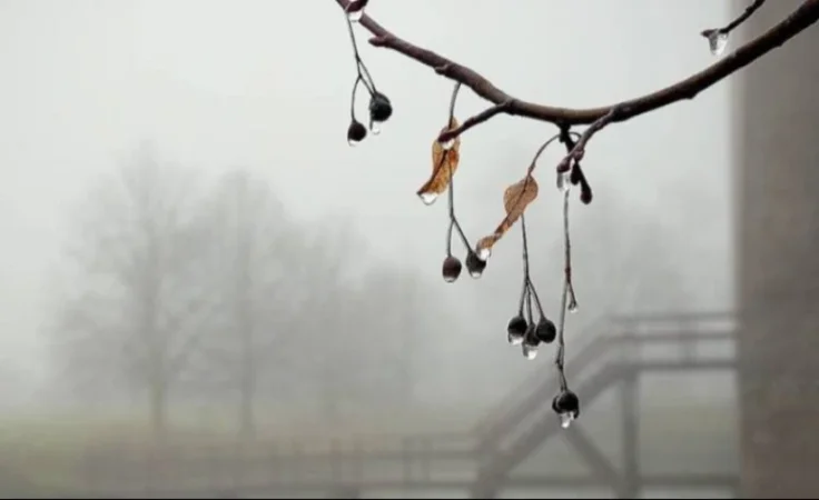 Սպասվում է կարճատև մառախուղ. եղանակի տեսություն