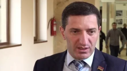 Վարչախումբը քաջ գիտակցում է, որ այլևս «Այո»-ի հաղթանակի շանս չունի. Գեւորգ Պետրոսյան