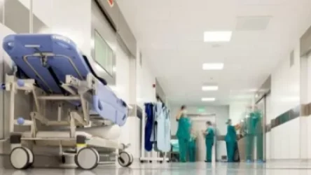 Ալափարսում միակողմանի թոքաբորբ ախտորոշմամբ 59-ամյա կին է մահացել