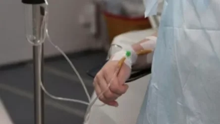 Գյումրիում շների հարձակմանը ենթարկված երեխային դիմածնոտային լուրջ վիրահատություն են արել