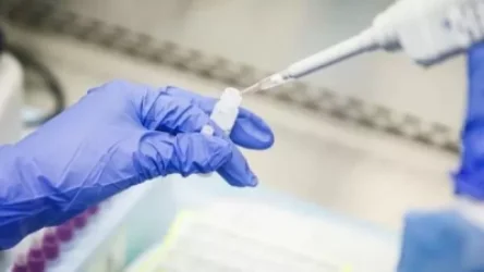 Գեղարքունիքում կորոնավիրուսի 42 նոր դեպք է հաստատվել․ ապաքինվել է 7 մարդ