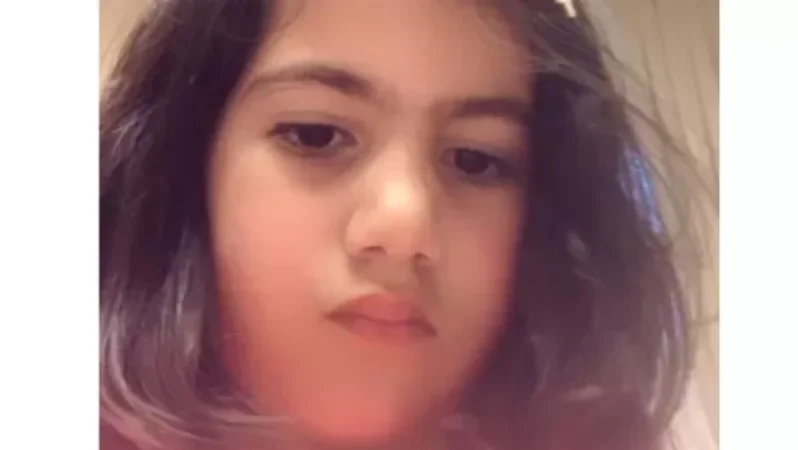 Արփին ինքնուրույն սելֆի է արել և տեղադրել ՖԲ իմ էջում. Աննա Հակոբյան