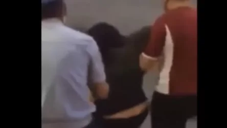 ՏԵՍԱՆՅՈՒԹ. Սա Սպիտակի միջադեպի ավելի ամբողջական տարբերակն է. Փաշինյան