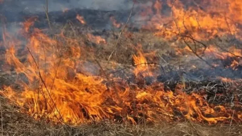 Հրշեջ-փրկարարները մարել են մոտ 10 հա խոտածածկ տարածքներում բռնկված հրդեհները