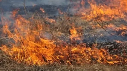 Հրշեջ-փրկարարները մարել են մոտ 10 հա խոտածածկ տարածքներում բռնկված հրդեհները