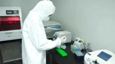 Վերջին 1 օրում կորոնավիրուսից 16 մարդ է մահացել, այլ պատճառով մահերի թիվը 3 է